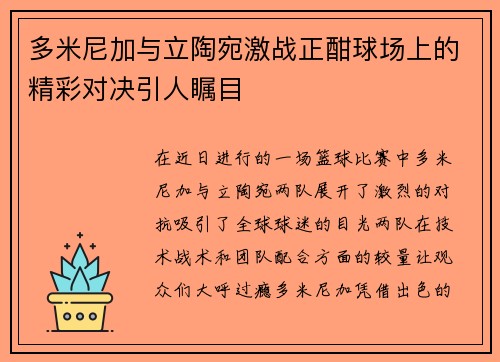 多米尼加与立陶宛激战正酣球场上的精彩对决引人瞩目