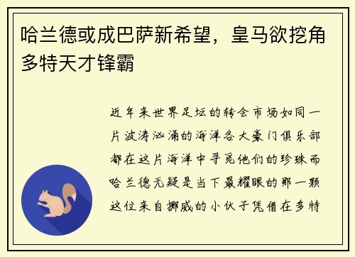 哈兰德或成巴萨新希望，皇马欲挖角多特天才锋霸